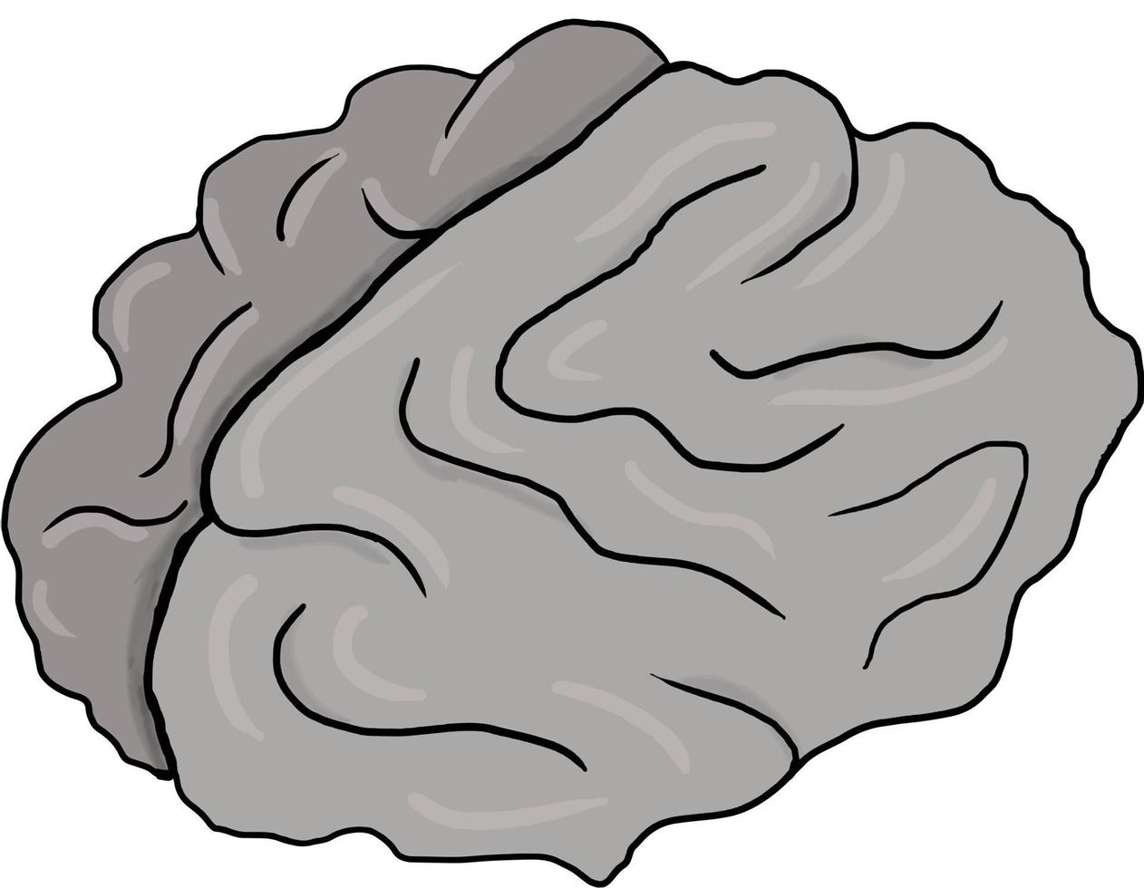 illustrazione del cervello disegnata a mano vettore