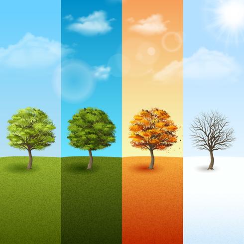 Set di banner albero di quattro stagioni vettore