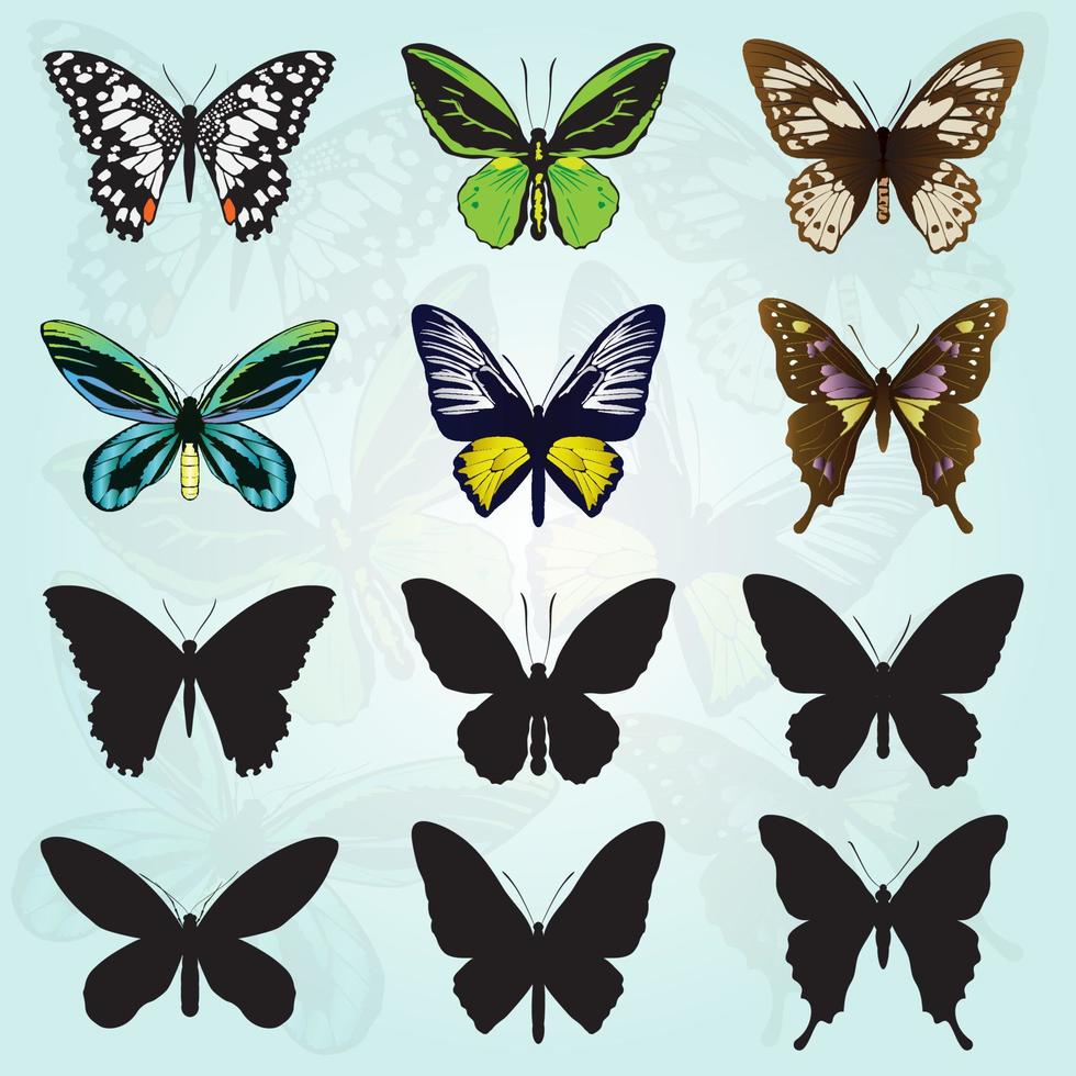 vari colori e tipi di farfalle vettore
