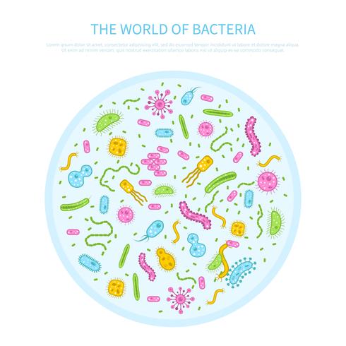 Illustrazione di concetto di batteri vettore