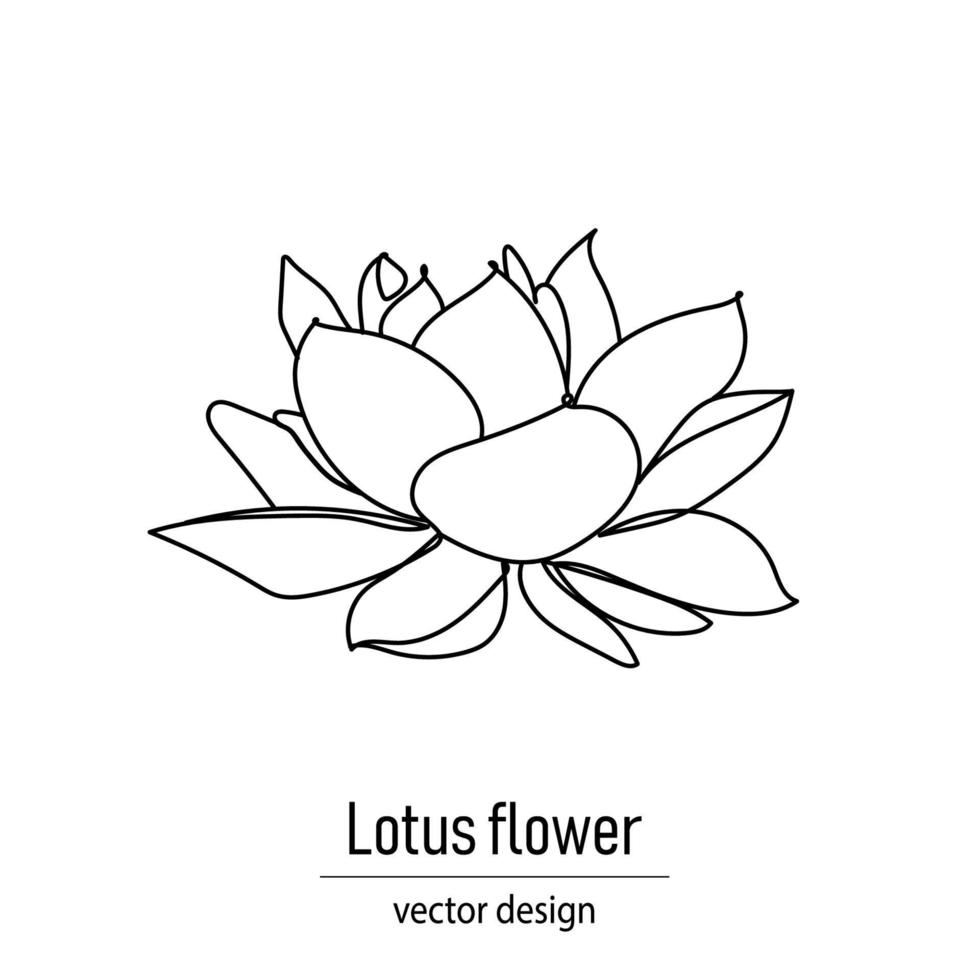 fiore di loto disegno in linea continua di contorno minimalista style.vector illustrazione, icona di loto. illustrazione vettoriale