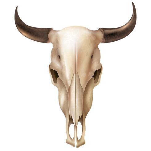 Cranio di mucca realistica vettore