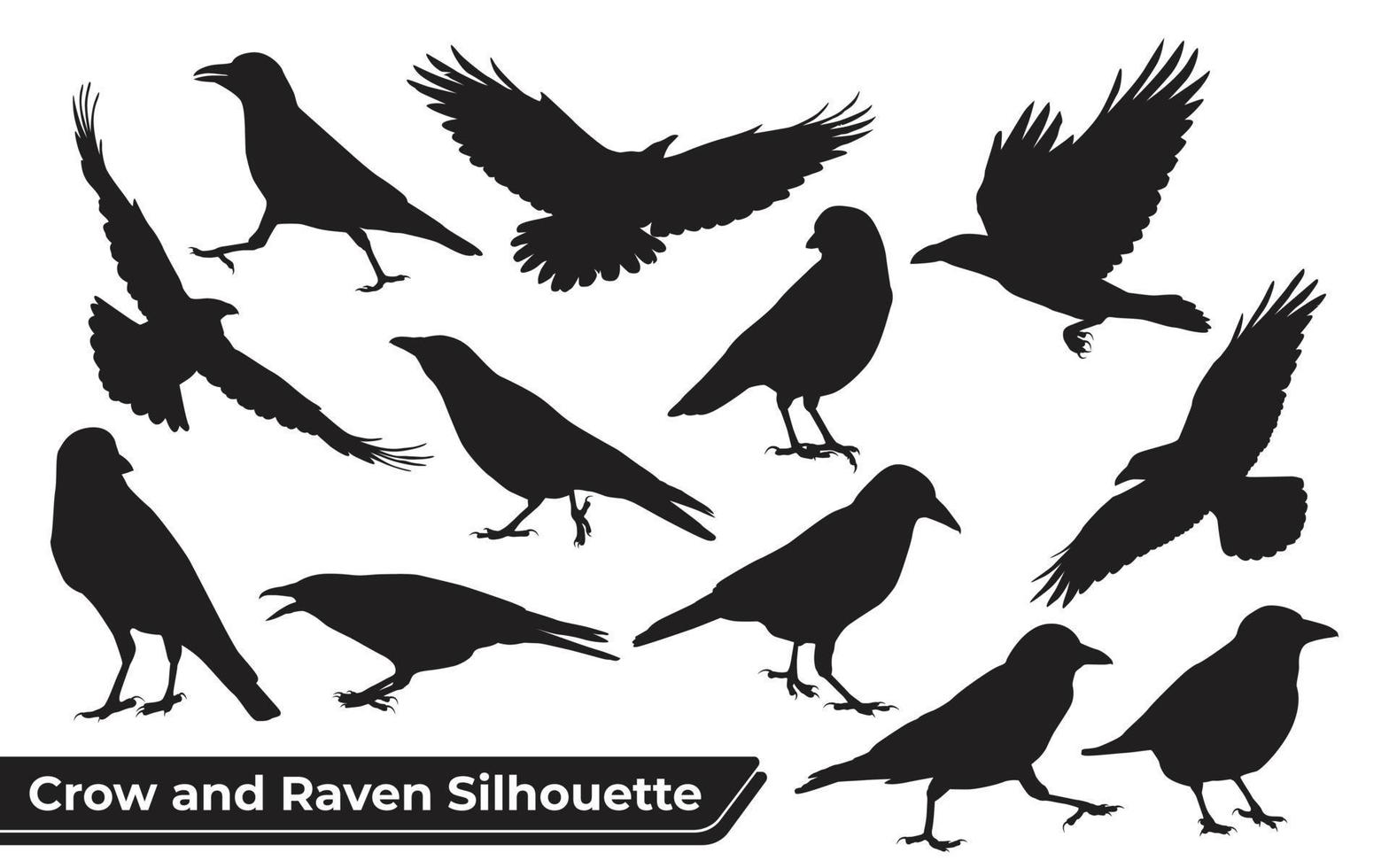 collezione di silhouette di corvo e corvo in diverse pose vettore