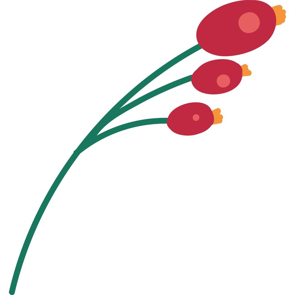 illustrazione vettoriale piatta di rami di bacche rosse di natale