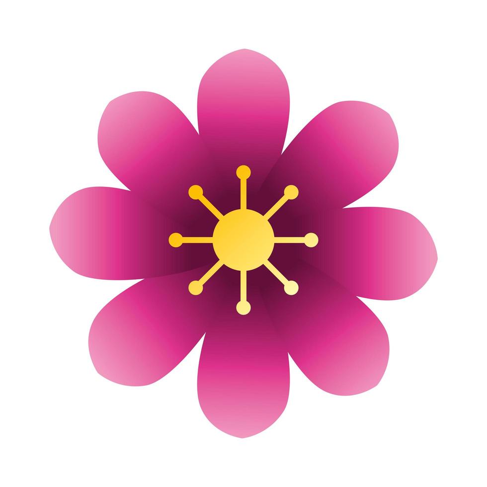 icona isolata di colore viola del fiore carino vettore