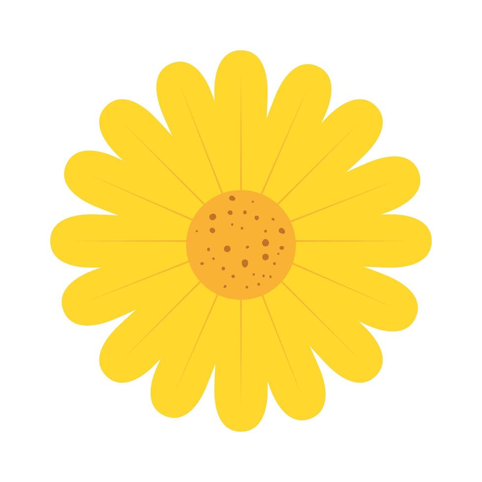 icona isolata di colore giallo fiore carino vettore