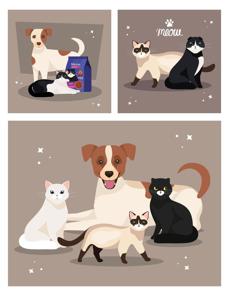 set poster di simpatici cani e gatti vettore
