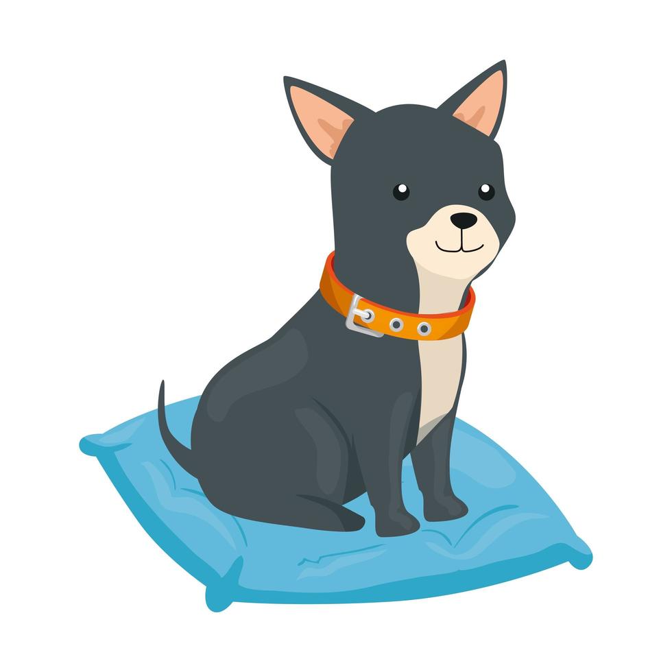 simpatico cane in cuscino isolato icona vettore