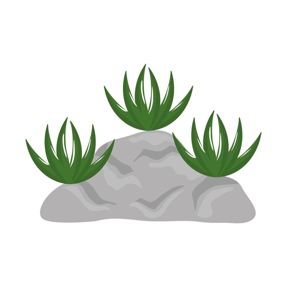 piante isolate su roccia disegno vettoriale