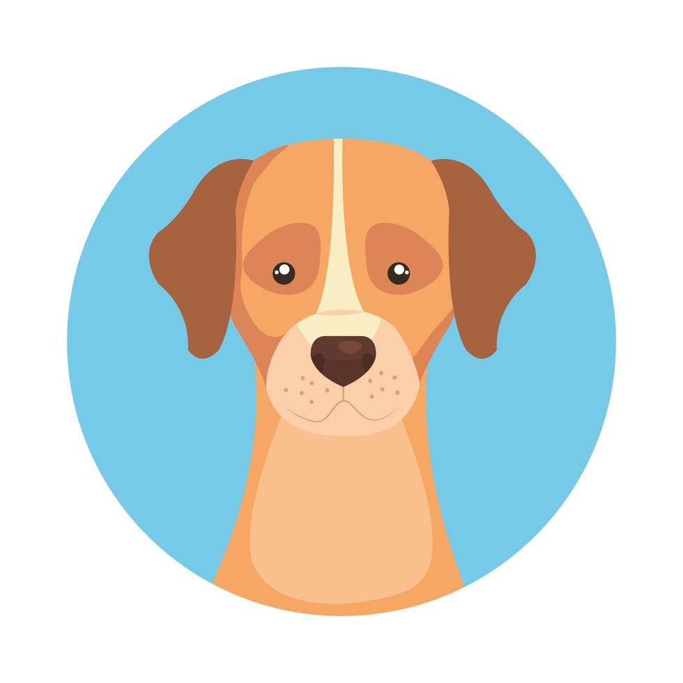 testa di cane carino in cornice circolare icona isolata vettore