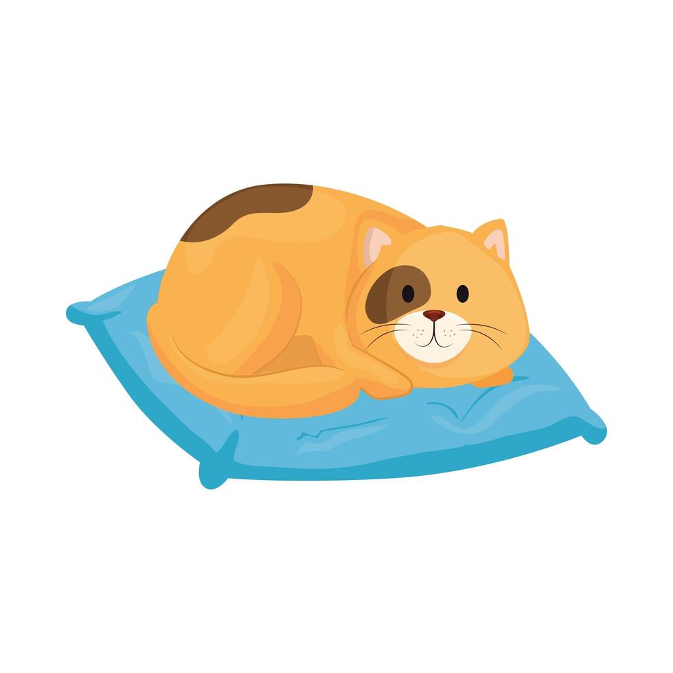 simpatico gattino nel cuscino isolato icona vettore