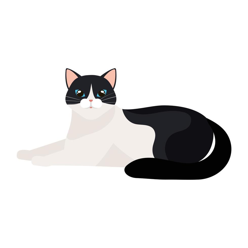simpatico gatto bianco e nero isolato icona vettore