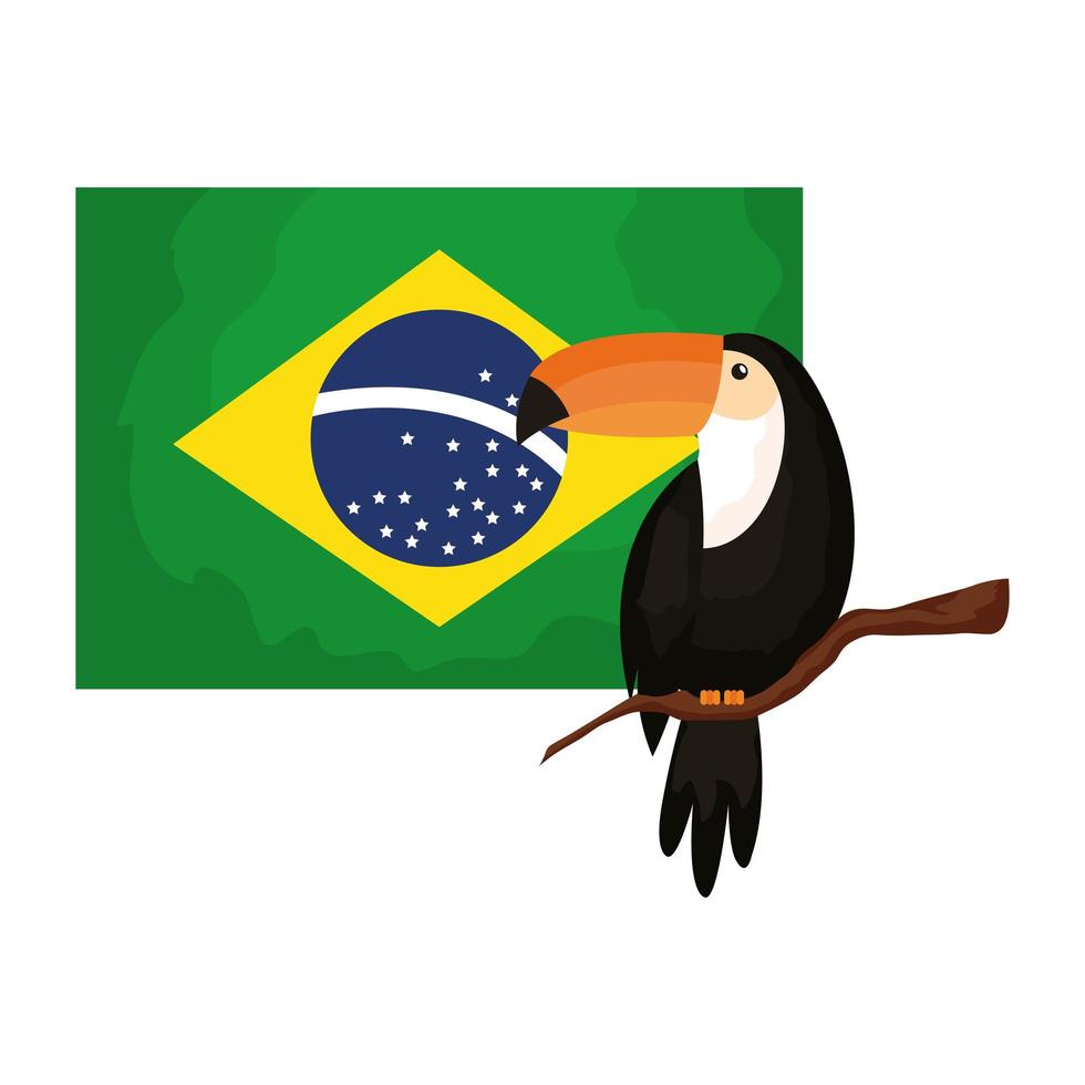 tucano animale esotico con bandiera brasile vettore
