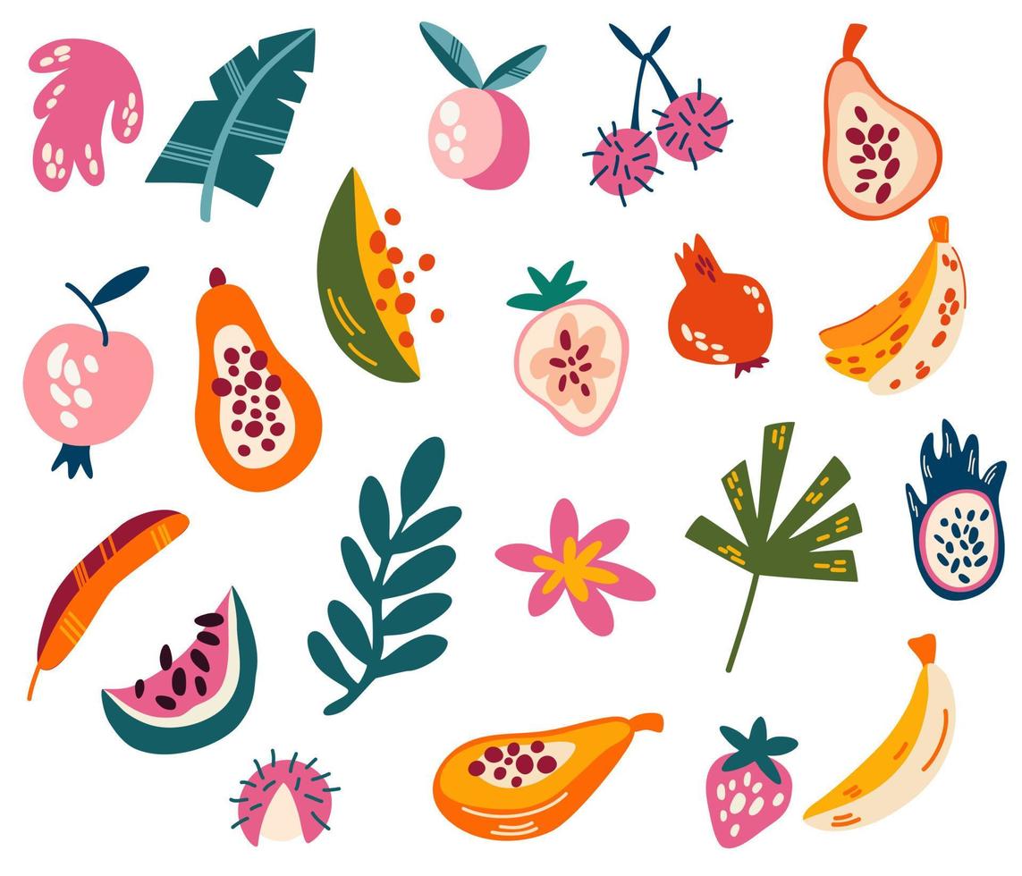 frutti e foglie tropicali. frutti esotici dolci. banane, papaia, mango, pere, ciliegie, litchi e altro ancora. raccolta di cibo estivo sano. illustrazione vettoriale di disegno a mano