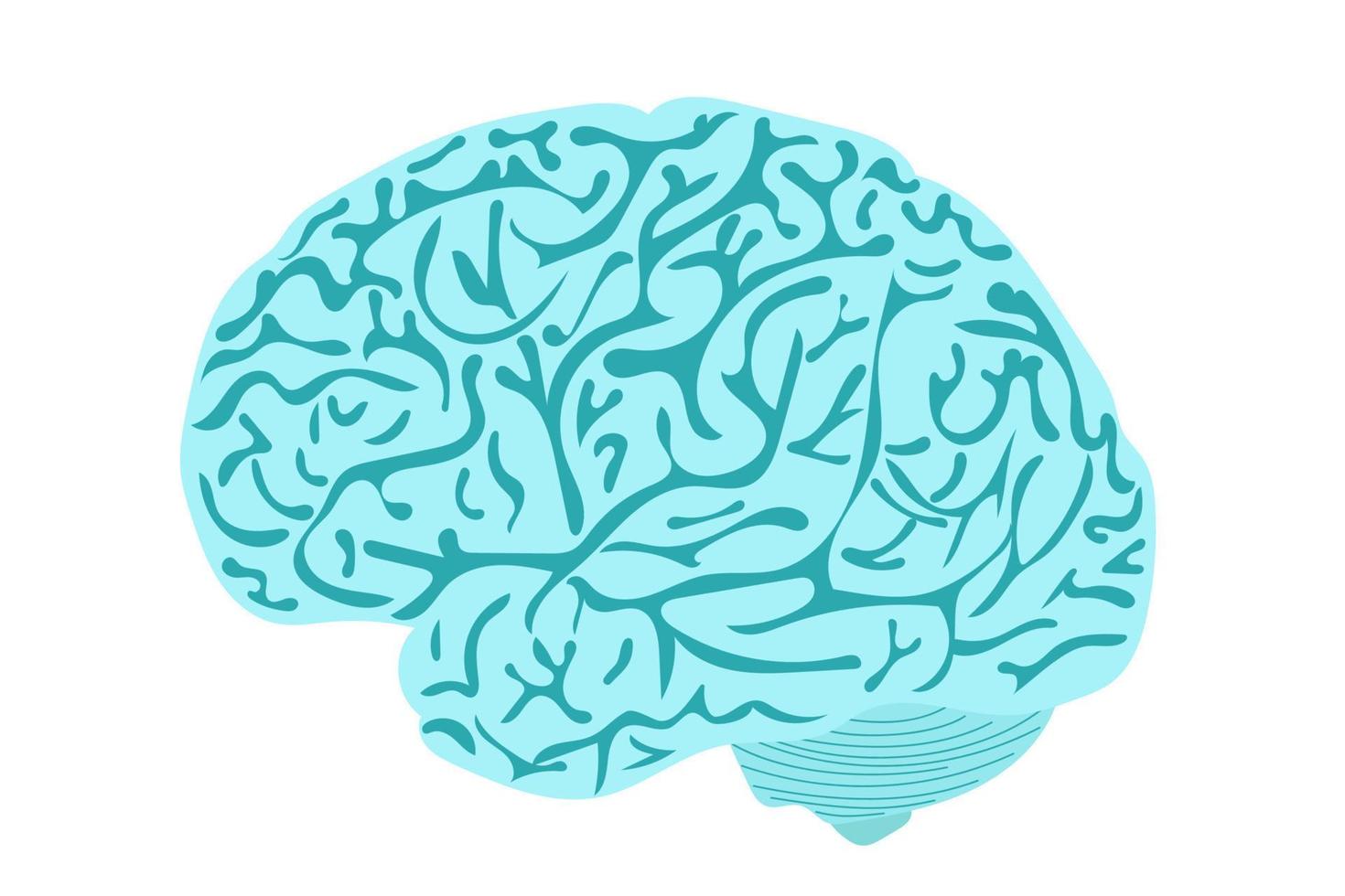 illustrazione di un cervello umano. vettore