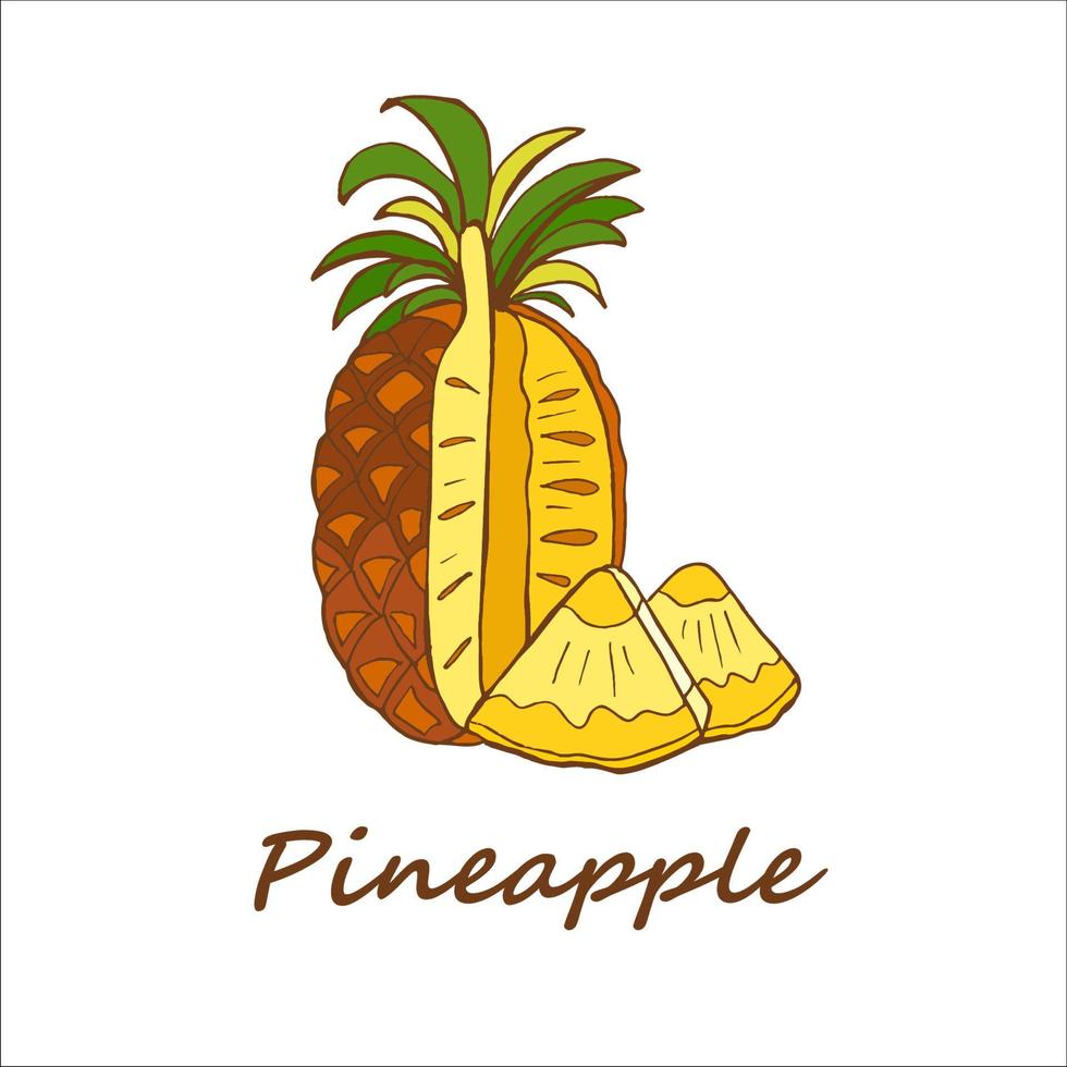 ananas, disegnato a mano. illustrazione vettoriale. vettore