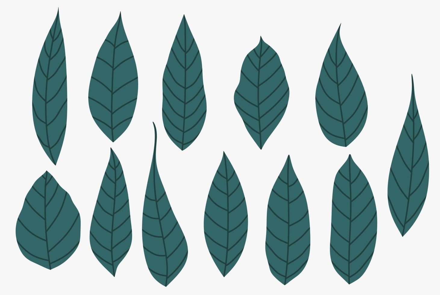 foglie verdi dell'acquerello. illustrazione elegante di bellezza decorativa per il design vettore