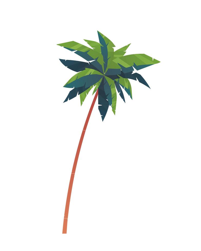 palma vettore isola cocco icona del fumetto. icona tropicale isolata del deserto dell'isola di palmtree