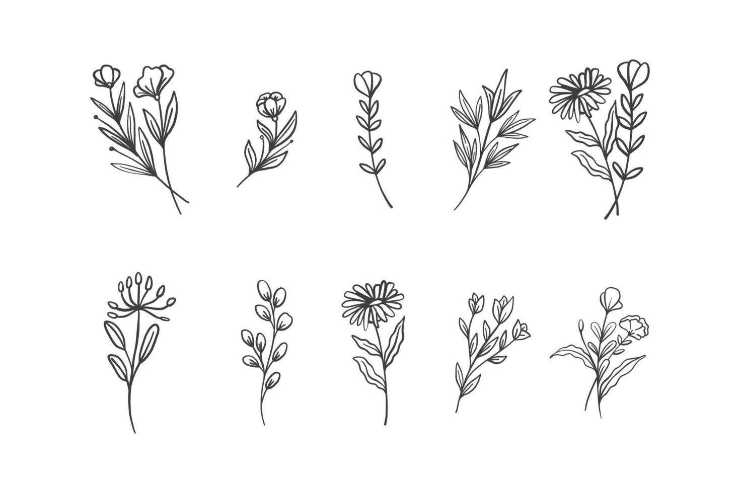 vettore di doodle disegnato a mano botanico