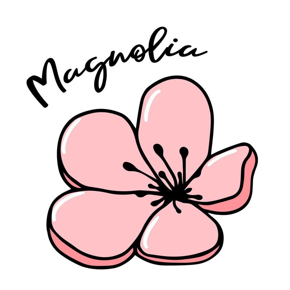 rosa fiore di magnolia vettore doodle illustrazione silhouette di disegnati a mano isolati su sfondo bianco. fiori primaverili scarabocchi, schizzi