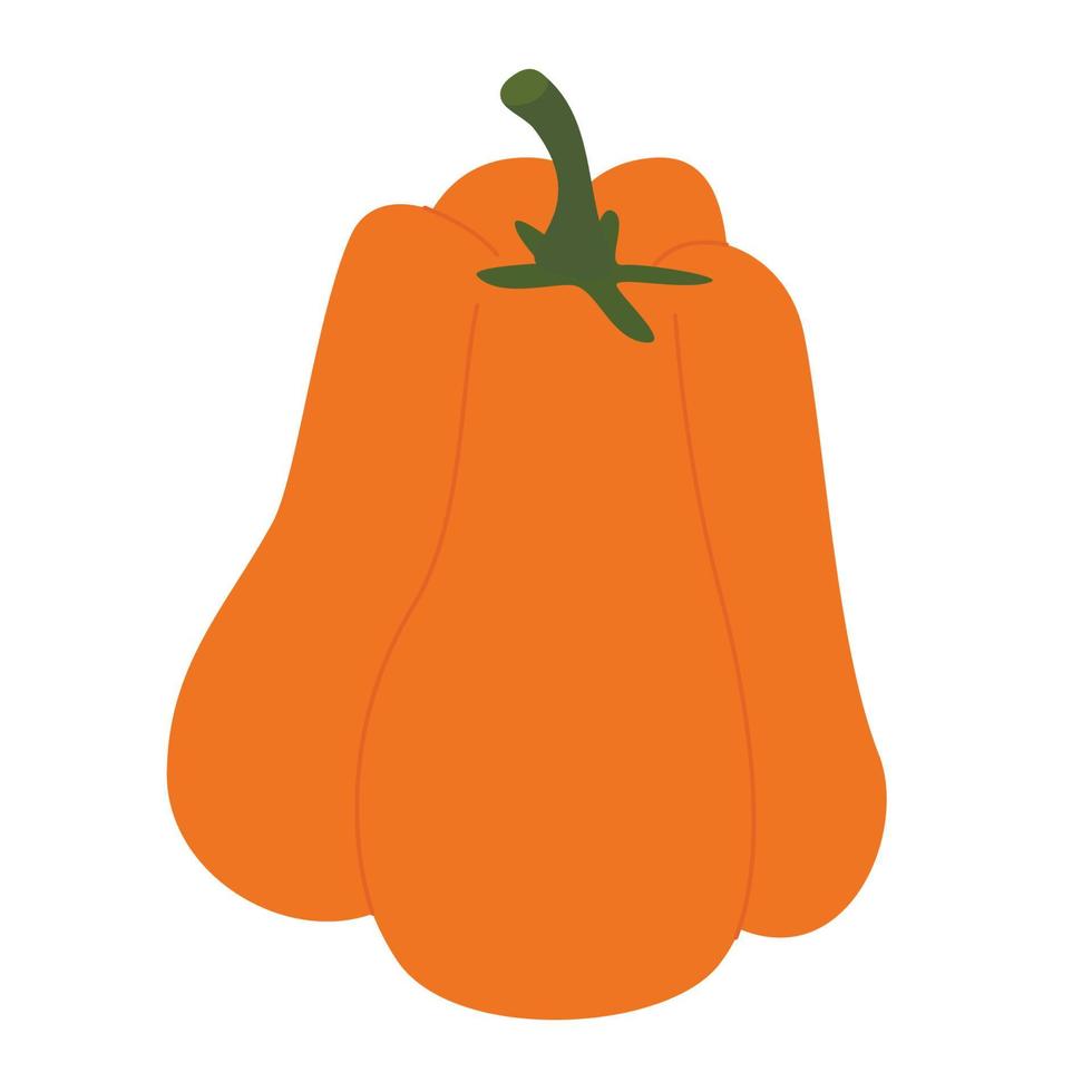 zucca arancione disegnata a mano isolata in stile piano. illustrazione vettoriale