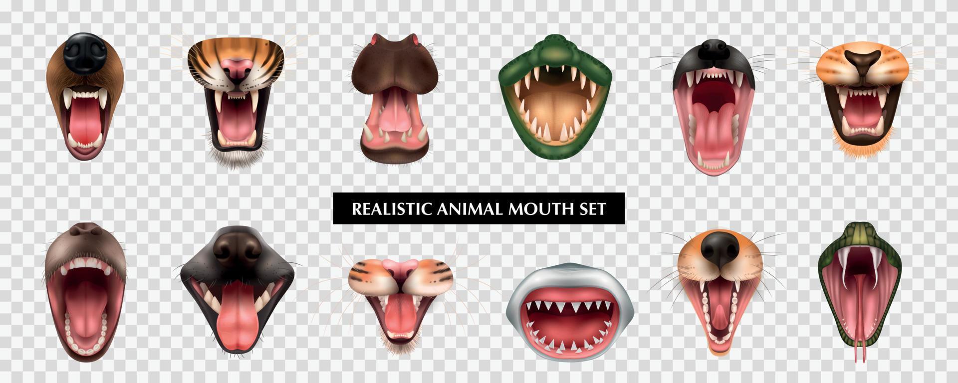 set di bocche di animali realistici vettore