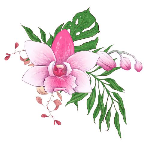 Insieme di progettazione di vettore dei fiori dell&#39;orchidea del paphiopedilum dei mazzi floreali tropicali esotici.