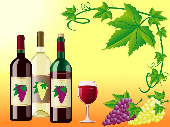 il vino è rosso bianco con uva e motivo decorativo di foglie vettore