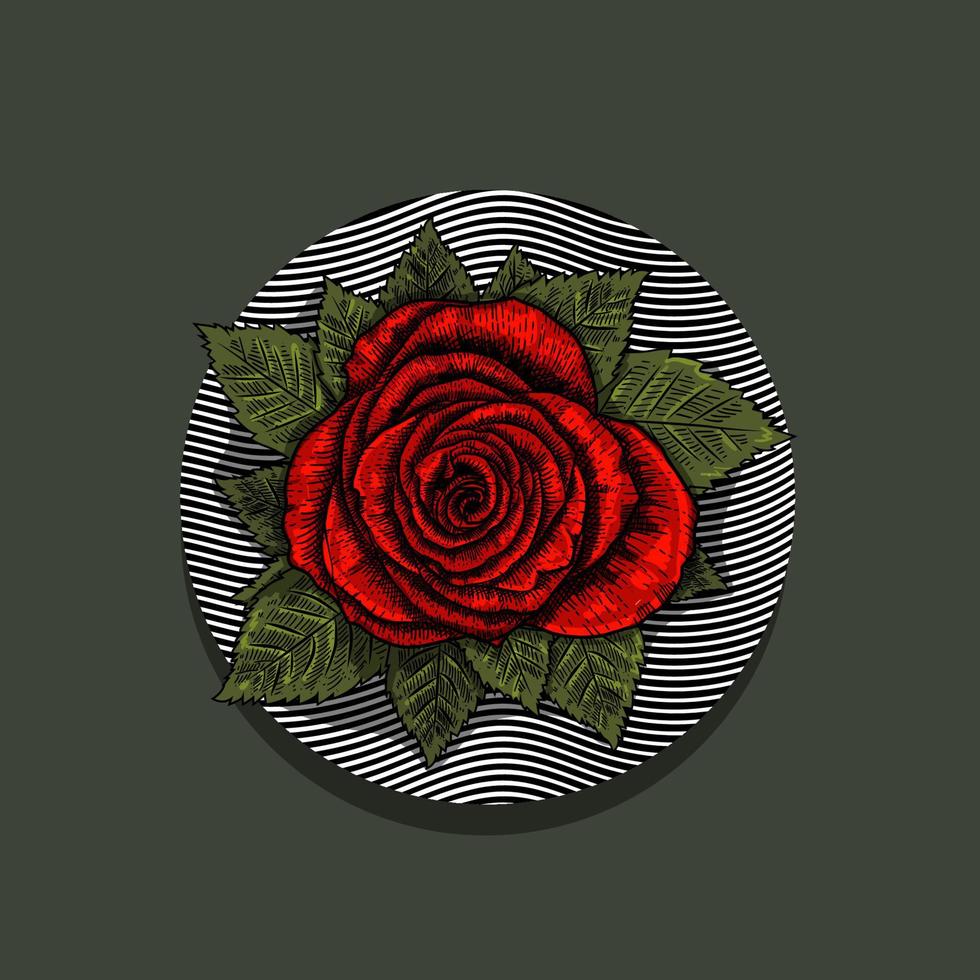illustrazione dell'incisione del fiore della rosa rossa style.eps vettore
