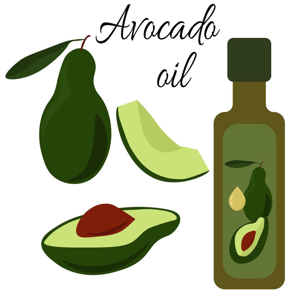 olio di avocado, olio da cucina in bottiglia, pezzi interi e di avocado di varie forme e dimensioni vettore