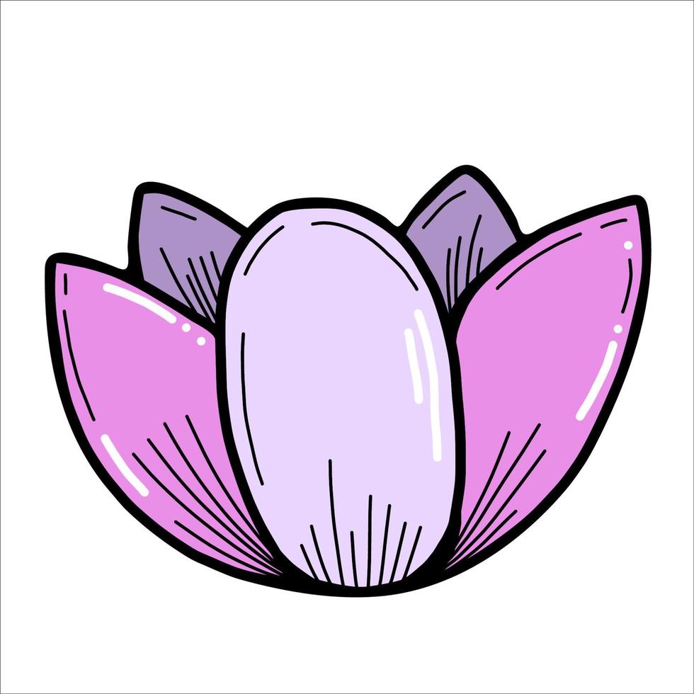 bellissimo fiore di loto. illustrazione vettoriale
