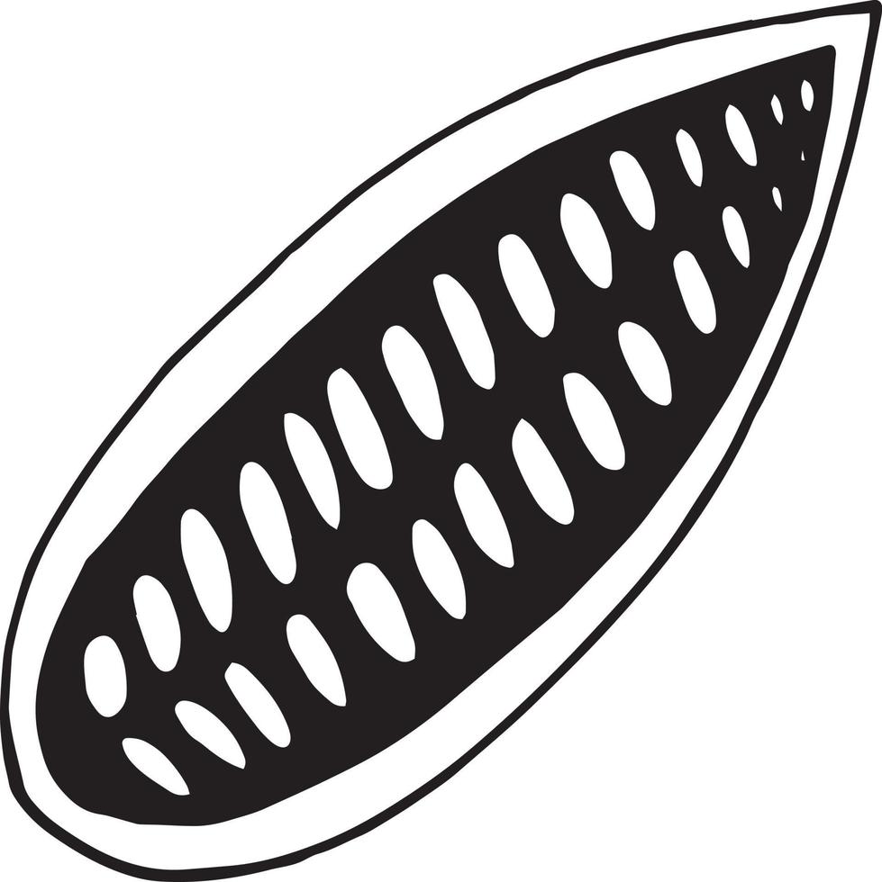 scarabocchio disegnato a mano mezzo fava di cacao. singolo elemento per icona del design, etichetta, menu, adesivo. pianta alimentare vettore