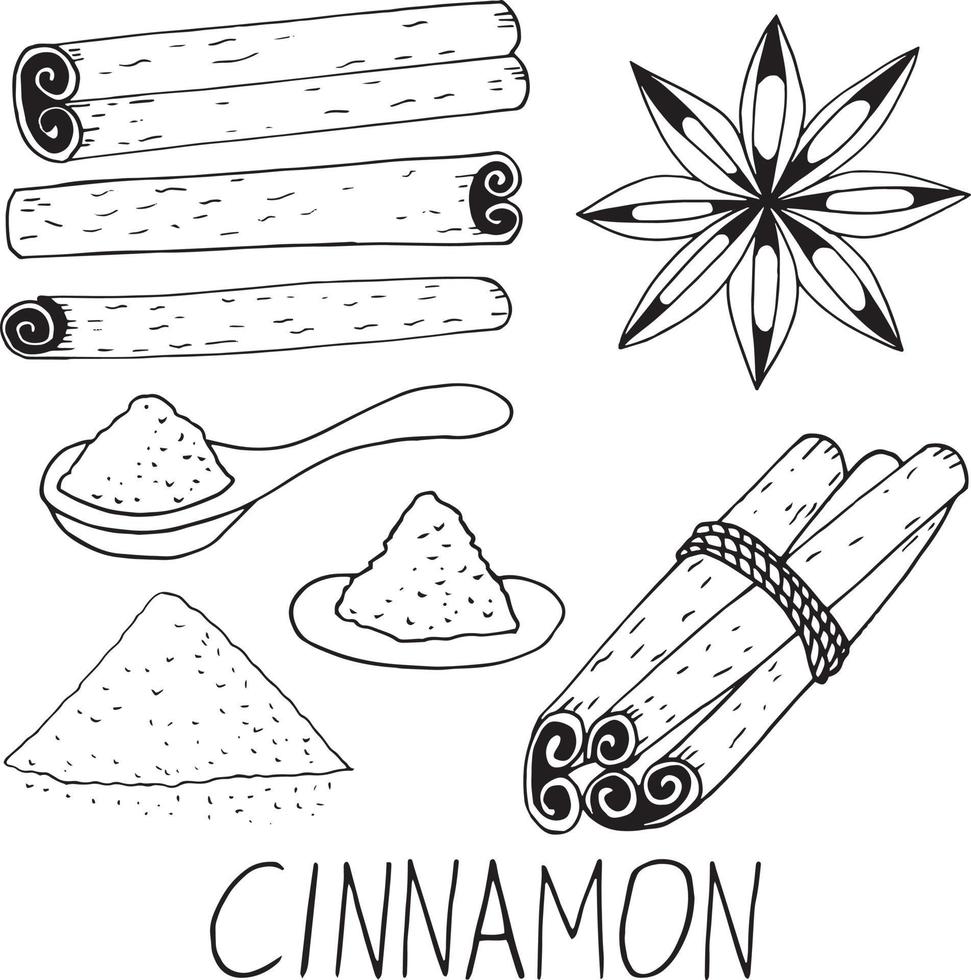 set di cannella doodle disegnato a mano. bastoncini, polvere, scritte, cucchiaio raccolta di elementi per icona del design, etichetta, menu, adesivo. cibo, condimenti spezie vettore