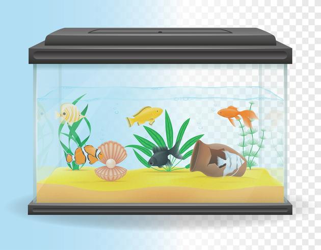 illustrazione vettoriale di acquario trasparente