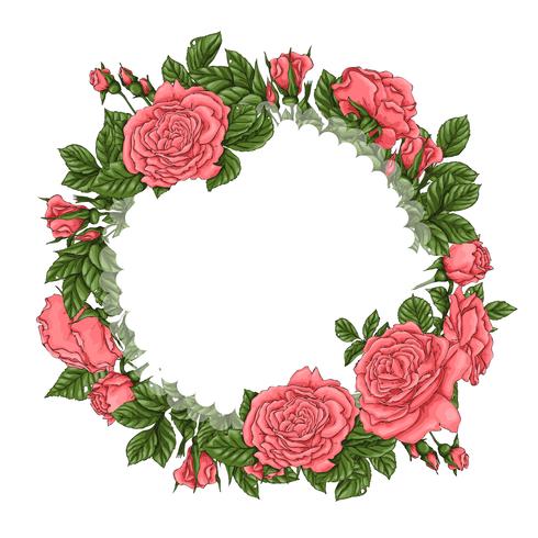 Cornice di rose di corallo. Illustrazione vettoriale