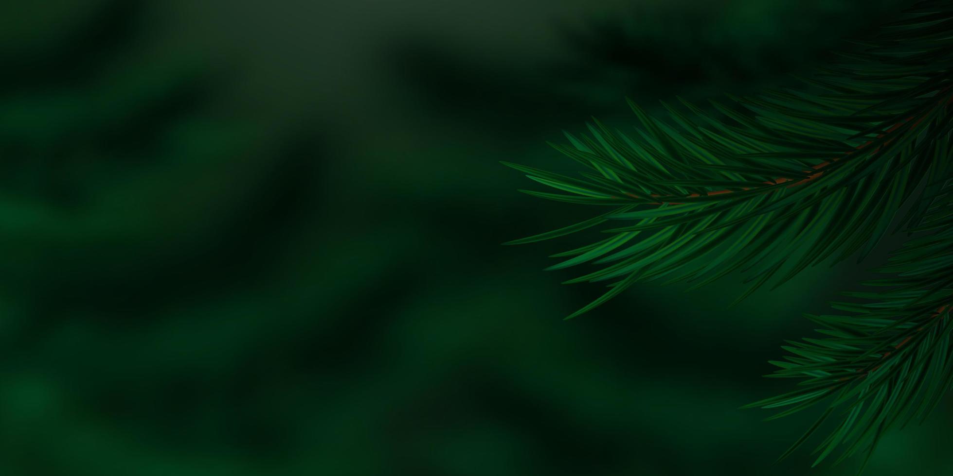 primo piano di ramoscelli di conifere. sfondo scuro della natura. rami realistici di pino o abete rosso su sfondo sfocato. vegetazione lussureggiante in un bosco di conifere. copia spazio. illustrazione vettoriale. vettore