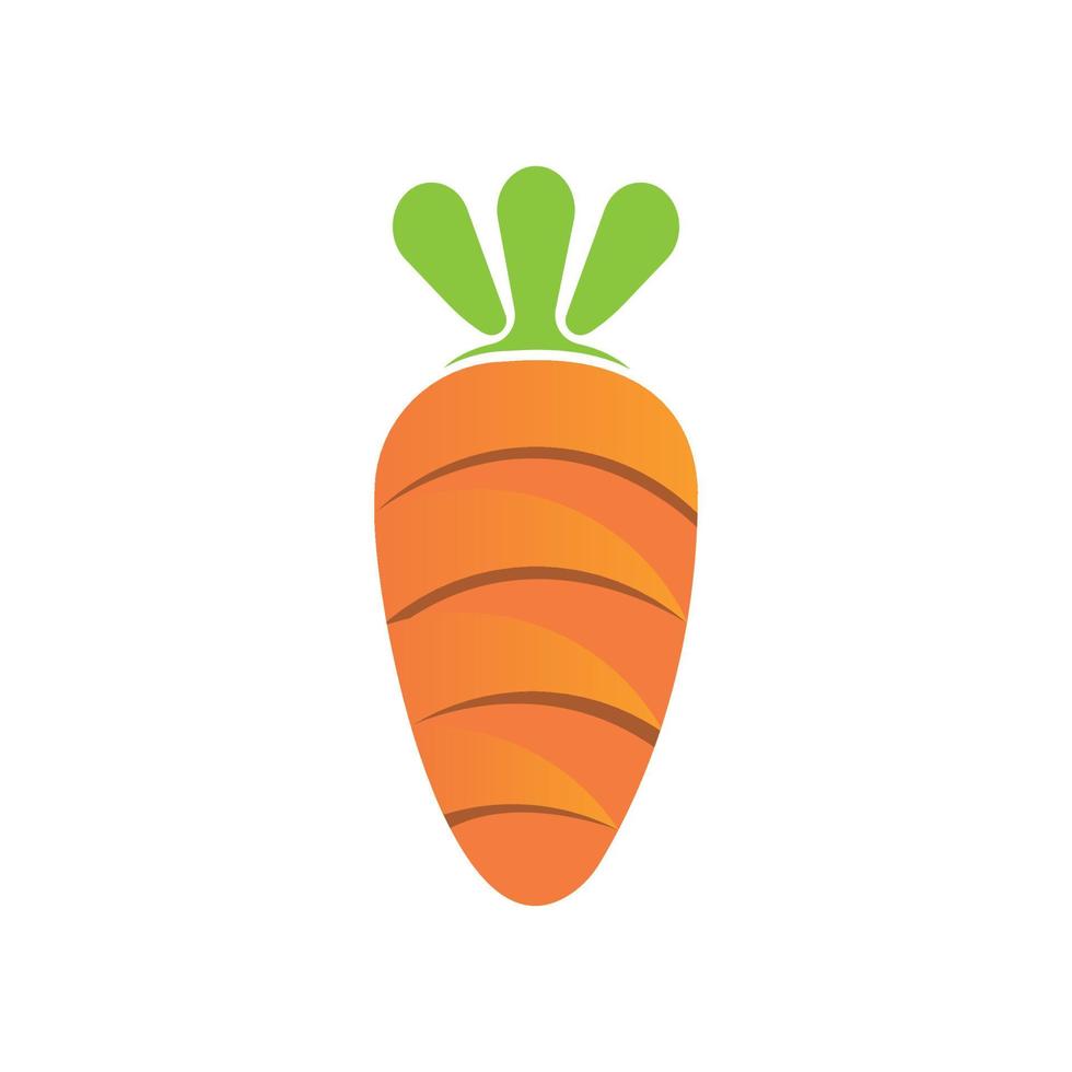 modello di vettore libero di disegno dell'illustrazione della carota