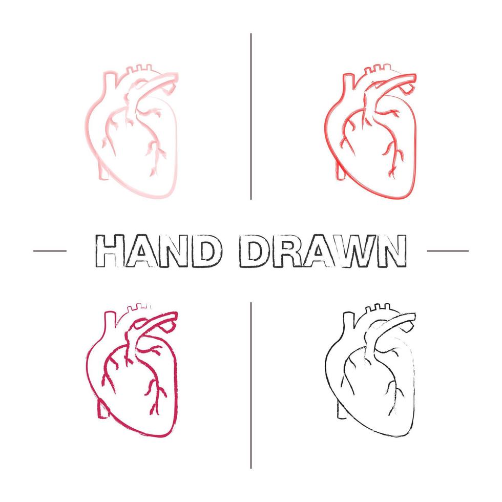 set di icone disegnate a mano di anatomia del cuore umano. pennellata di colore. illustrazioni abbozzate vettoriali isolate