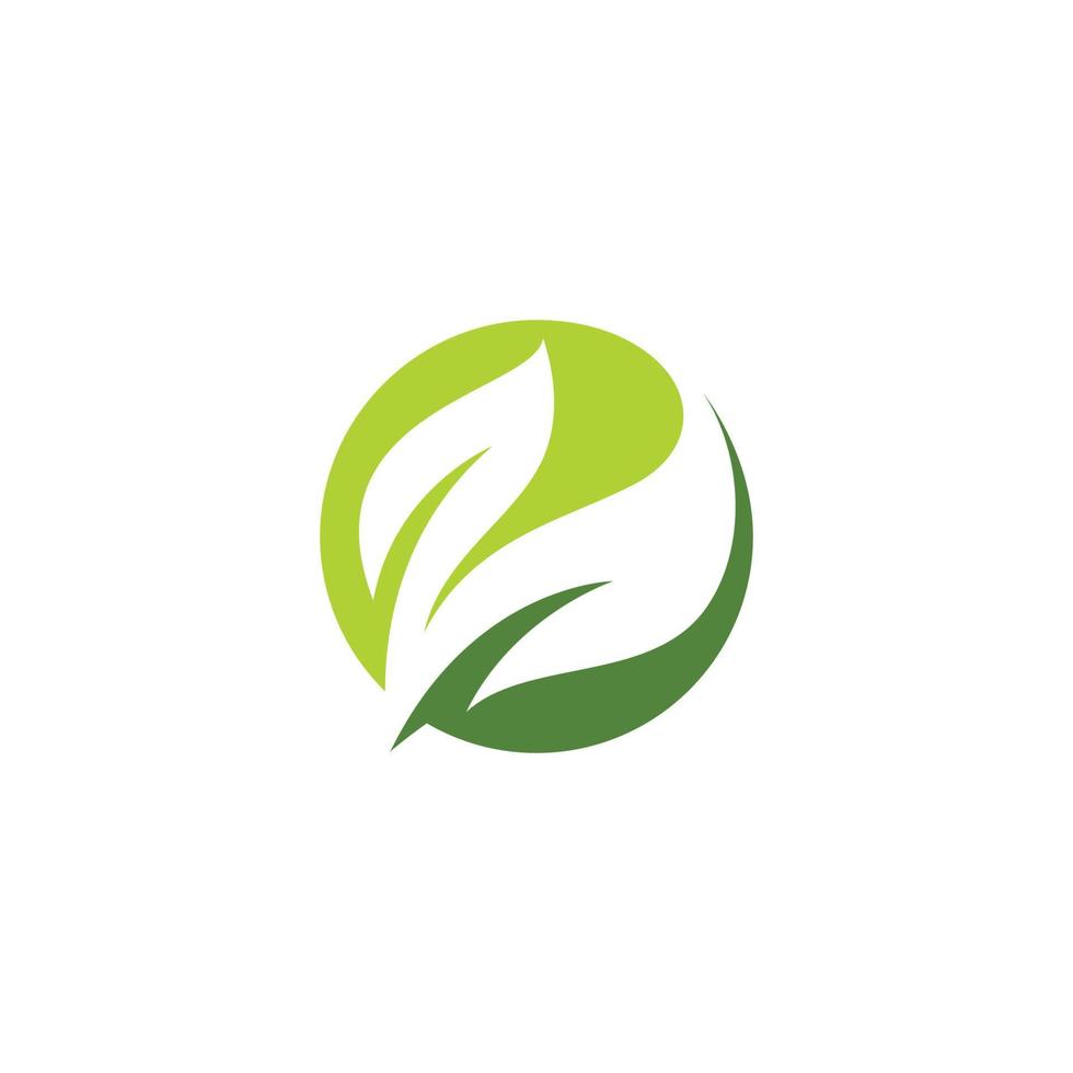foglia verde logo icona illustrazione, foglia simbolo vettoriale