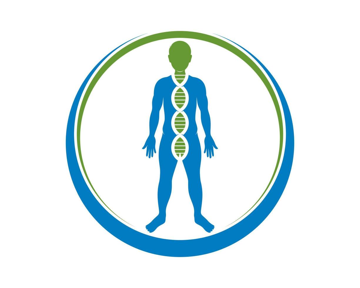 essere umano sano con l'elica del DNA all'interno vettore