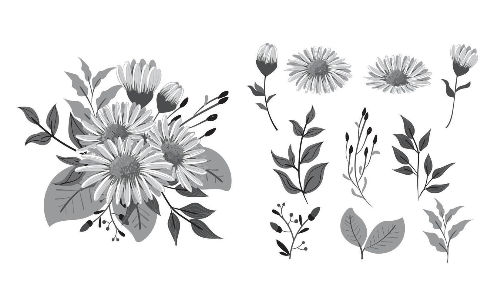 set di fiori margherita in bianco e nero vettore