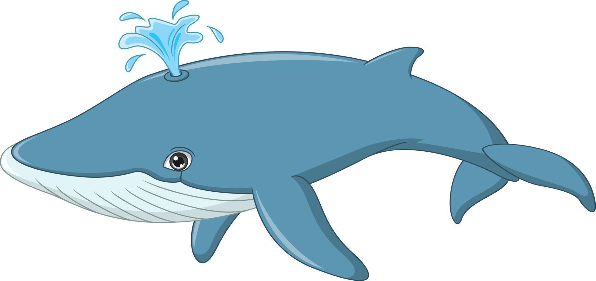 balena cartone animato isolato su sfondo bianco vettore