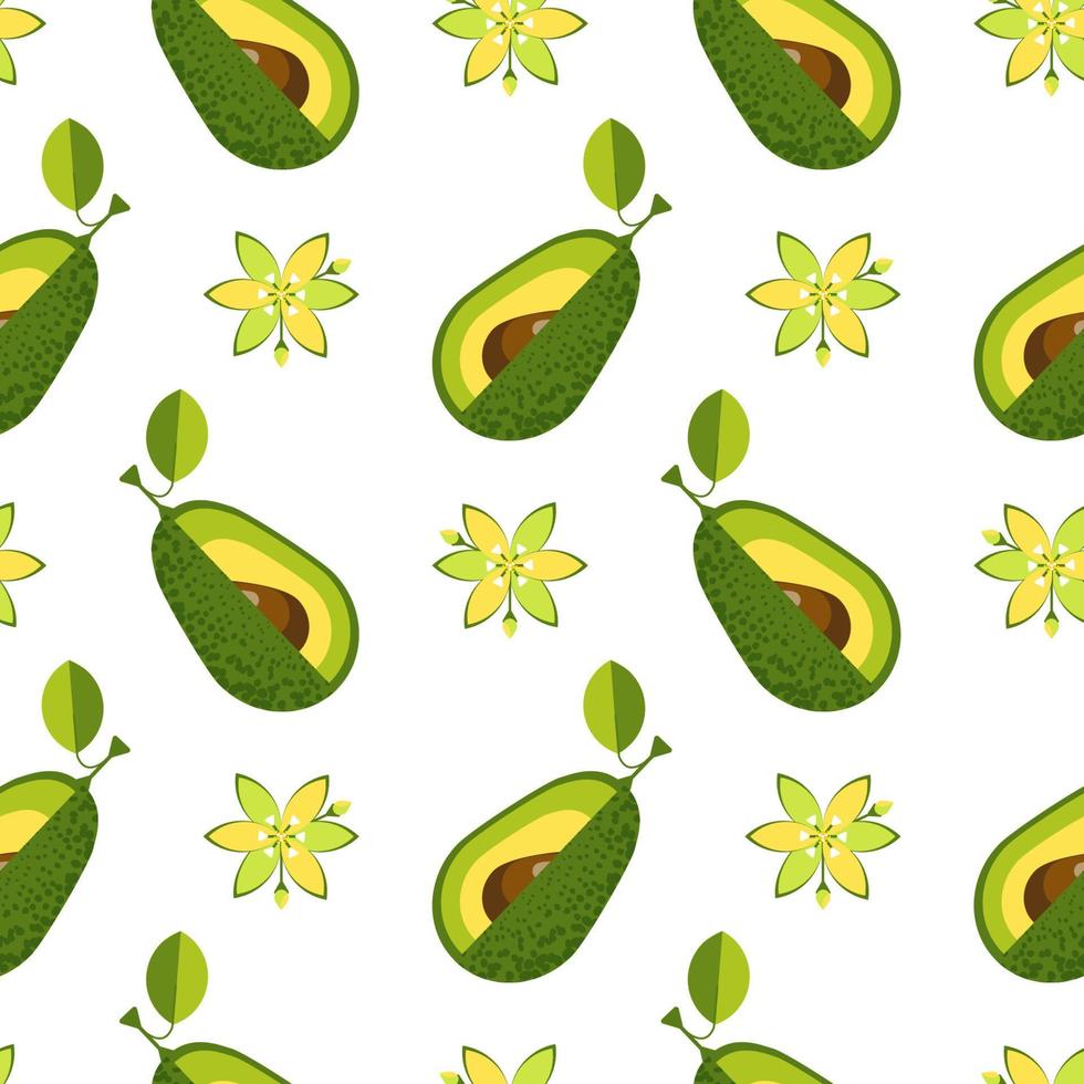 avocado. modello senza soluzione di continuità su sfondo bianco isolato. illustrazione vettoriale d'archivio.