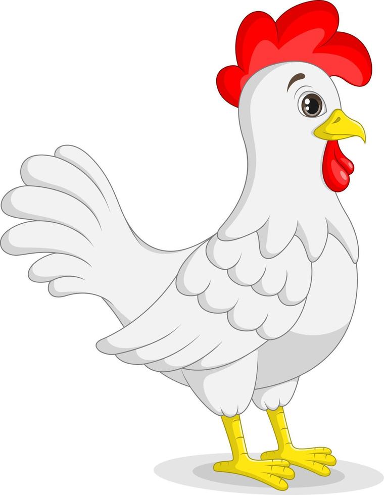 pollo cartone animato su sfondo bianco vettore