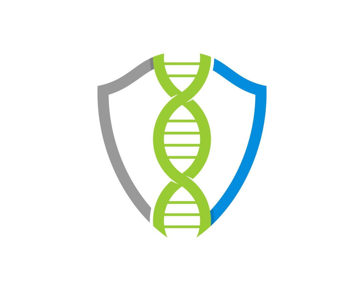 elica del dna nella protezione dello scudo vettore
