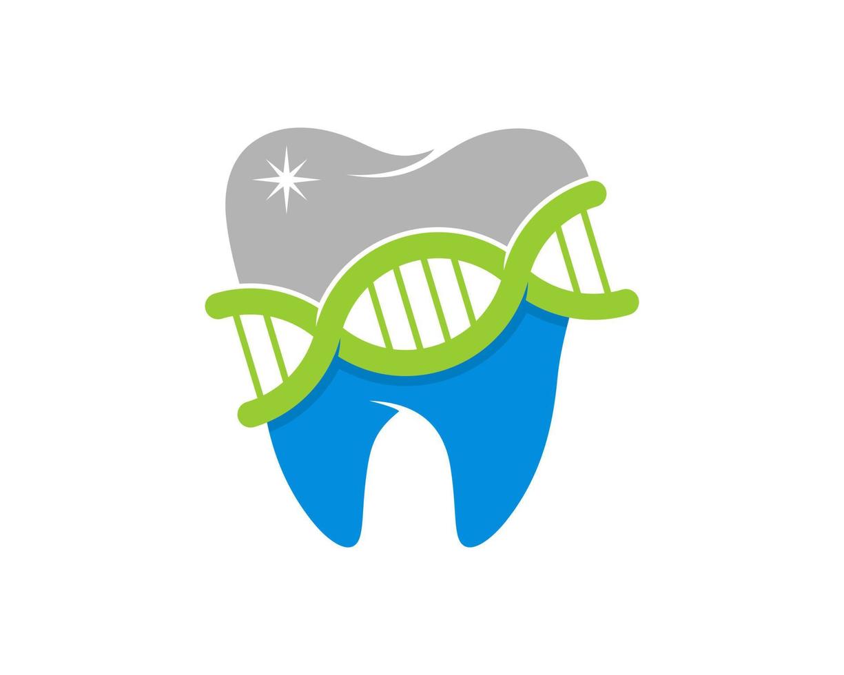 denti sani ed elica del DNA con trattamento dentale vettore