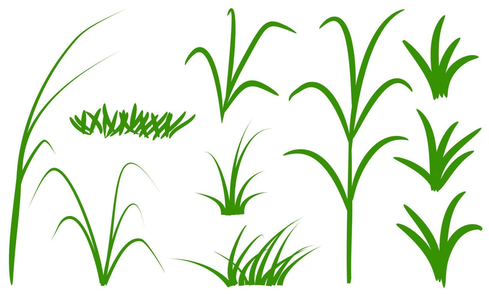 vettore erba verde isolato su sfondo bianco