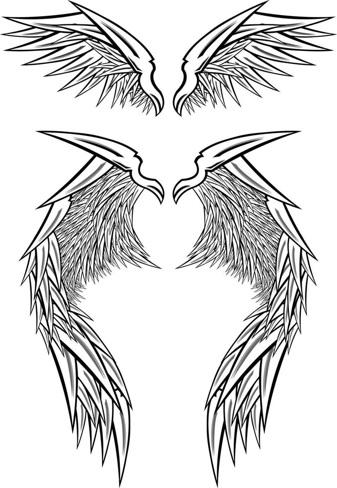 disegno dell'illustrazione delle ali vettore