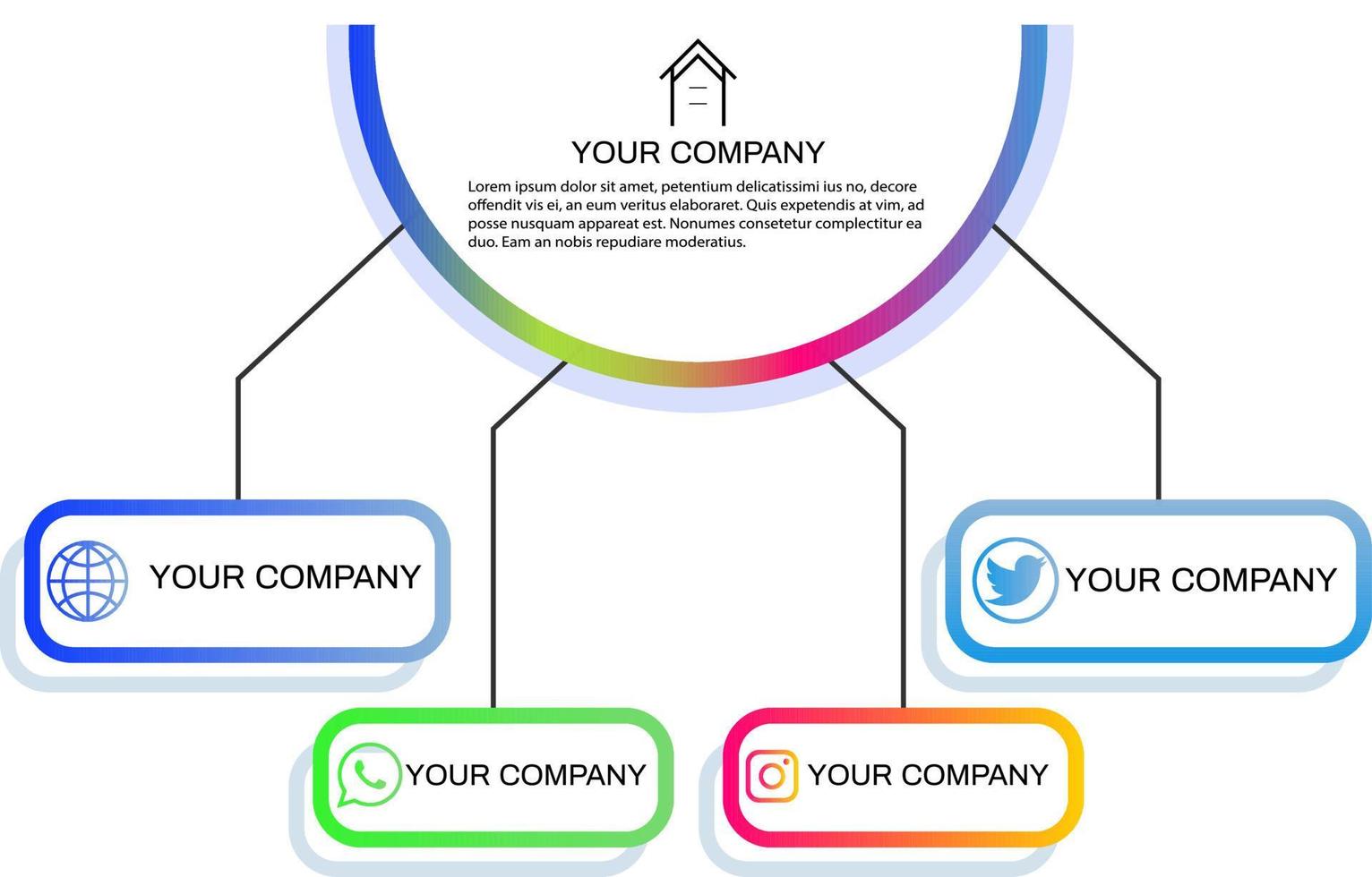 infografica colore in cerchio business vector