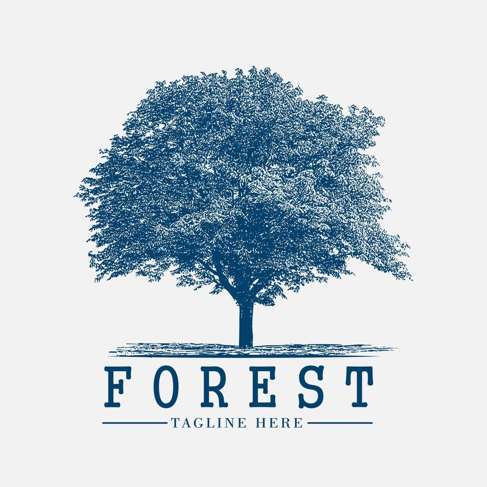 foresta albero vintage logo vettoriale, segno, natura, simbolo, etichetta, grafico, emblema, retrò, design, silhouette, distintivo, elemento, all'aperto, illustrazione, avventura, legno, viaggio, impostato, francobollo, spedizione vettore